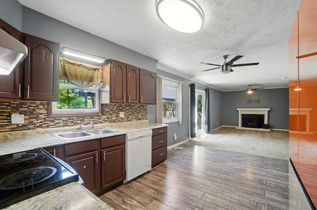 2605 Bella Via Ave, Columbus, OH 43231 - kitchen featuring dishwasher, a sink, ceiling fan, light wood finished floors, and light countertops