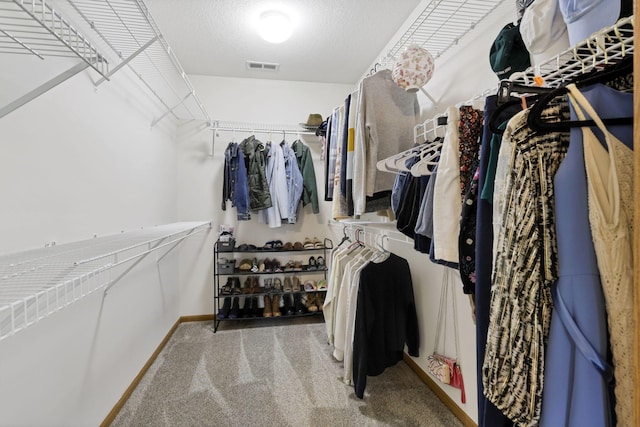 1318 Hillview Cir E, Newark, OH 43055 - spacious closet featuring carpet floors