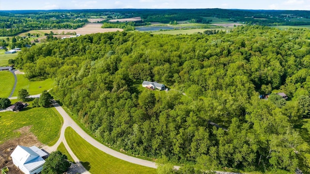 7665 Hirst Rd, Heath, OH 43056 - photo 4
