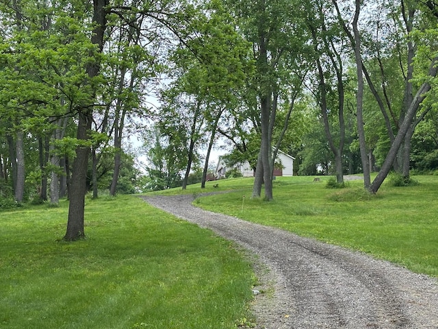 7665 Hirst Rd, Heath, OH 43056 - photo 13