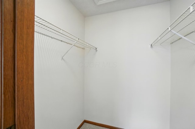 4557 Hidden Ridge Ct, Columbus, OH 43230 - spacious closet with carpet