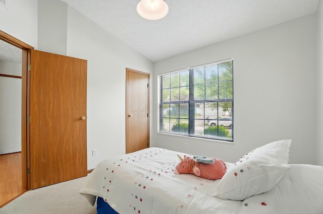 4557 Hidden Ridge Ct, Columbus, OH 43230 - bedroom featuring vaulted ceiling, carpet flooring, and a textured ceiling