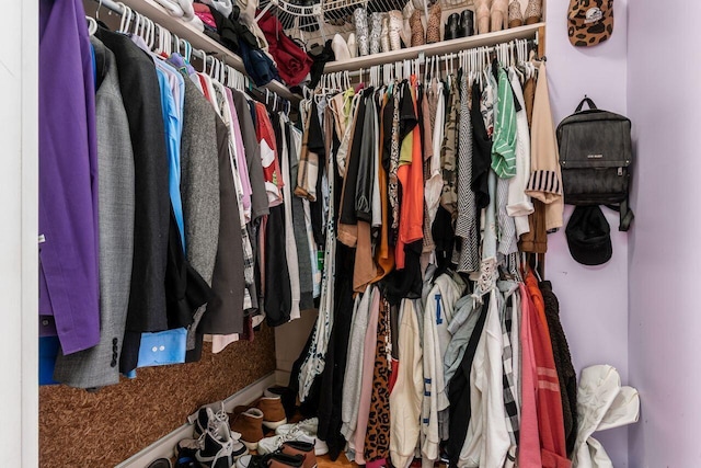 369 E Main St, Circleville, OH 43113 - view of walk in closet