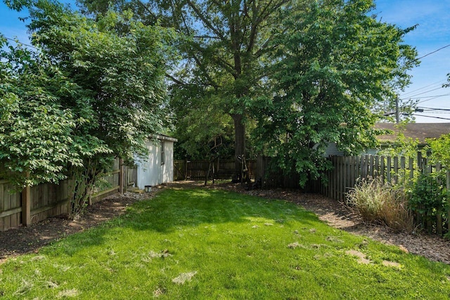369 E Main St, Circleville, OH 43113 - view of yard