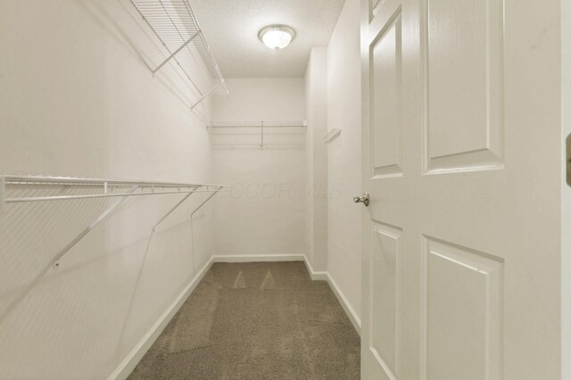 53 Stone House Ct, Newark, OH 43055 - walk in closet with carpet