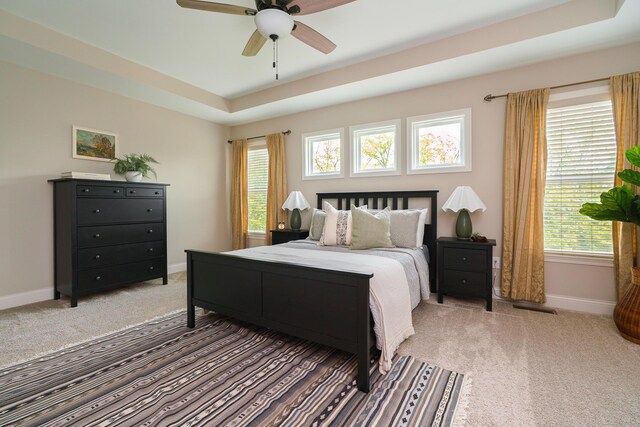 829 Pathlow Dr, Pickerington, OH 43147 - bedroom with light carpet, multiple windows, and a raised ceiling