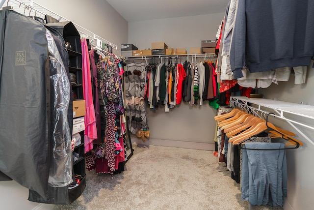 829 Pathlow Dr, Pickerington, OH 43147 - spacious closet featuring carpet