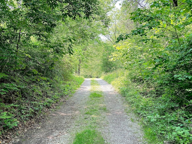 5401 Plantation Rd, Sunbury, OH 43074 - view of road with a wooded view