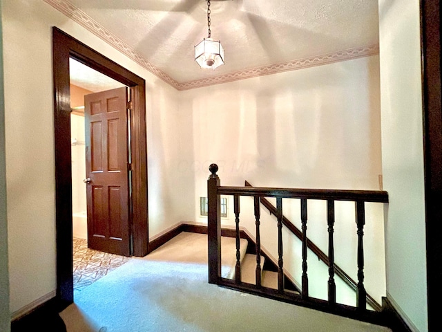 5401 Plantation Rd, Sunbury, OH 43074 - hall with carpet flooring, baseboards, an upstairs landing, and crown molding