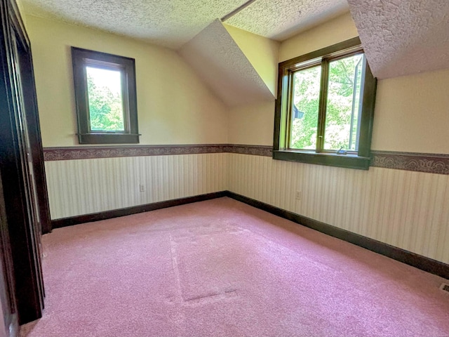5401 Plantation Rd, Sunbury, OH 43074 - bonus room with a textured ceiling, a wainscoted wall, lofted ceiling, and carpet floors