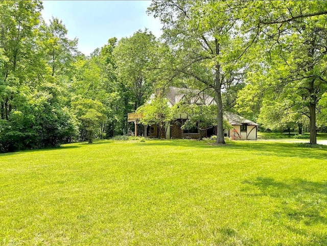 5401 Plantation Rd, Sunbury, OH 43074 - view of grassy yard