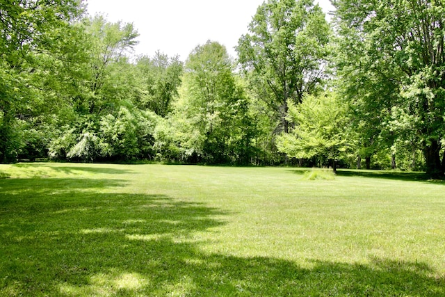 5401 Plantation Rd, Sunbury, OH 43074 - view of green lawn