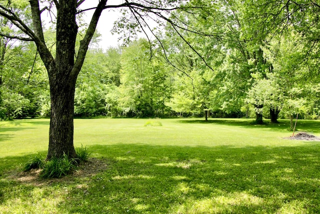 5401 Plantation Rd, Sunbury, OH 43074 - view of grassy yard