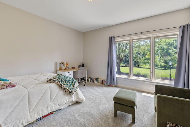 2570 Jewett Rd, Powell, OH 43065 - bedroom featuring multiple windows and carpet flooring