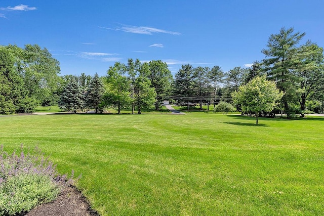 2570 Jewett Rd, Powell, OH 43065 - view of home's community with a yard and view of scattered trees
