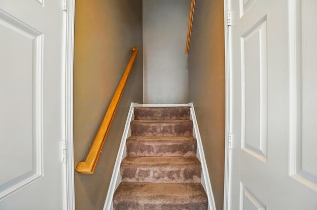385 Piney Creek Dr, Blacklick, OH 43004 - photo 18
