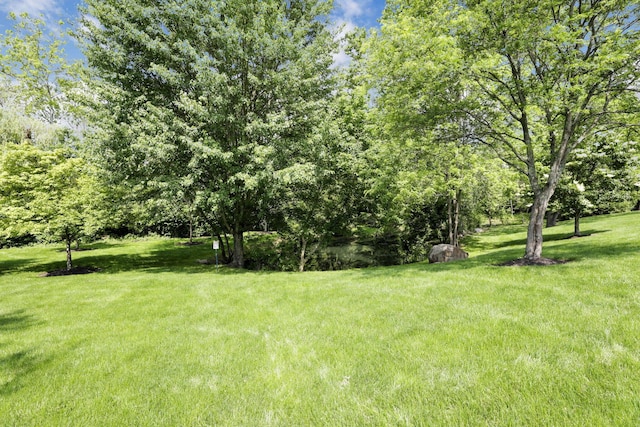 6370 Portrait Cir Unit 103, Westerville, OH 43081 - view of grassy yard