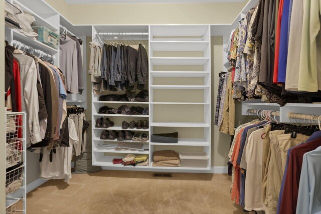 6370 Portrait Cir Unit 103, Westerville, OH 43081 - spacious closet with carpet