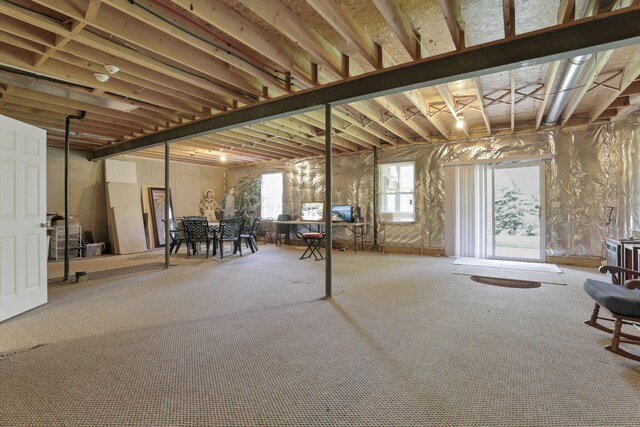 6370 Portrait Cir Unit 103, Westerville, OH 43081 - below grade area featuring carpet floors