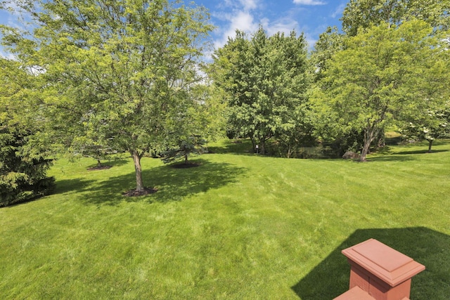 6370 Portrait Cir Unit 103, Westerville, OH 43081 - view of green lawn