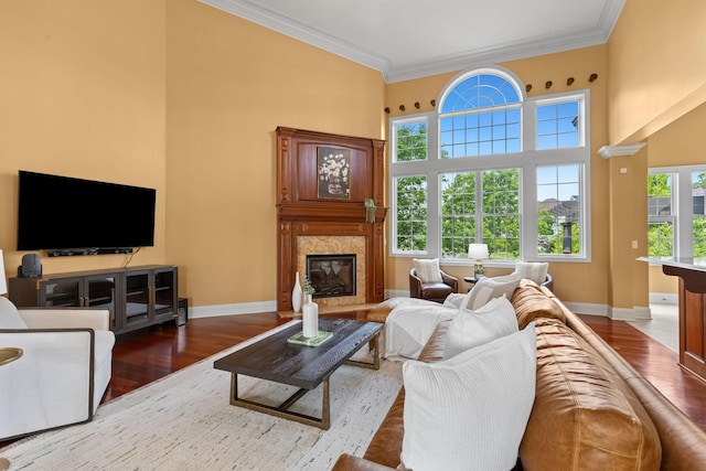 5753 Aster Way, Galena, OH 43021 - living room featuring wood finished floors, baseboards, a fireplace, a high ceiling, and crown molding