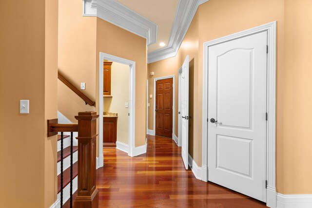 5753 Aster Way, Galena, OH 43021 - hall with dark wood finished floors, ornamental molding, baseboards, and stairway