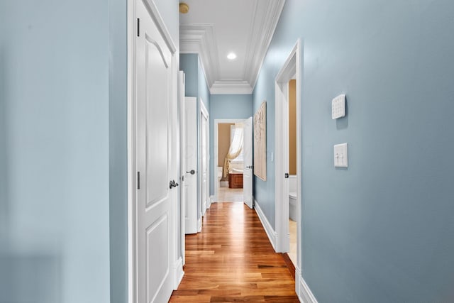 5753 Aster Way, Galena, OH 43021 - hall featuring ornamental molding, light wood finished floors, and baseboards