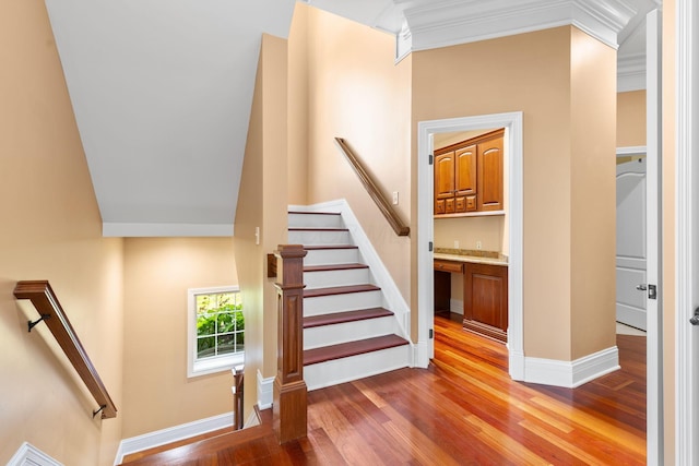 5753 Aster Way, Galena, OH 43021 - stairs featuring wood finished floors, ornamental molding, and baseboards