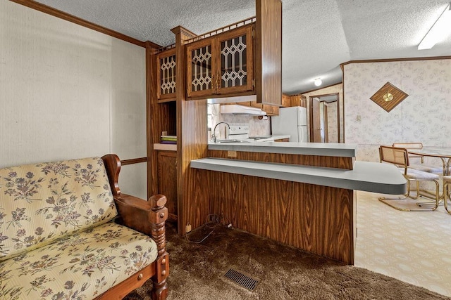 8764 National Rd SW Unit 118, Etna, OH 43062 - kitchen with freestanding refrigerator, carpet floors, under cabinet range hood, a textured ceiling, and ornamental molding