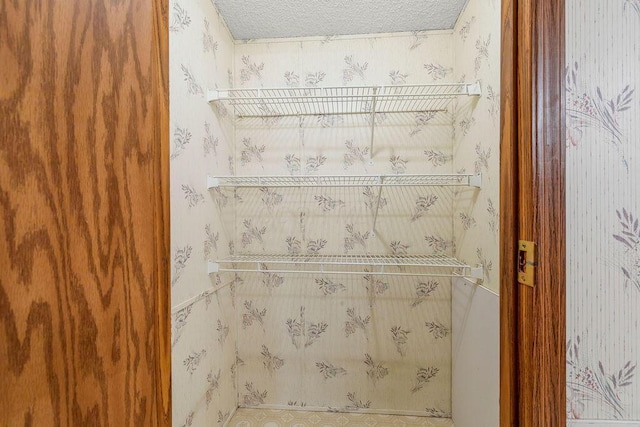 8764 National Rd SW Unit 118, Etna, OH 43062 - view of pantry