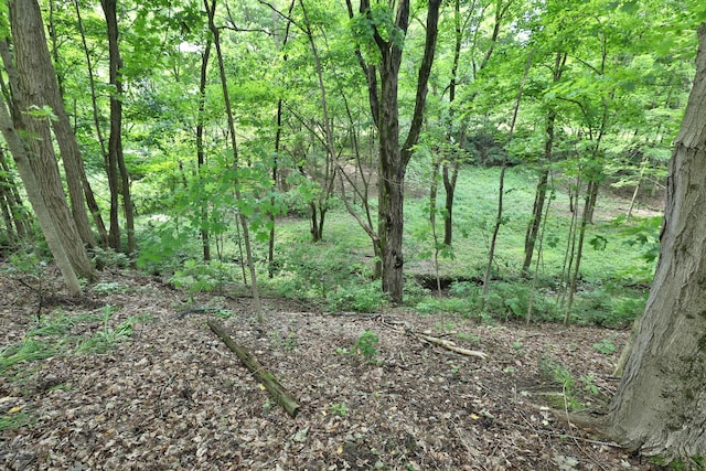 8583 Jersey Mill Rd NW, Alexandria, OH 43001 - photo 54