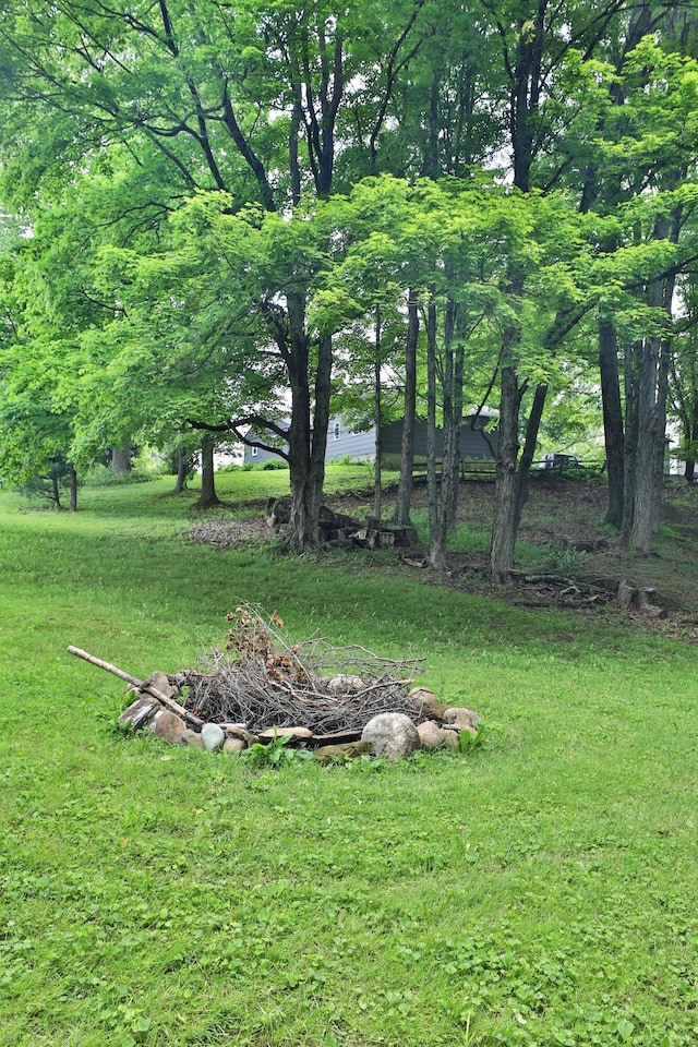 8583 Jersey Mill Rd NW, Alexandria, OH 43001 - photo 58