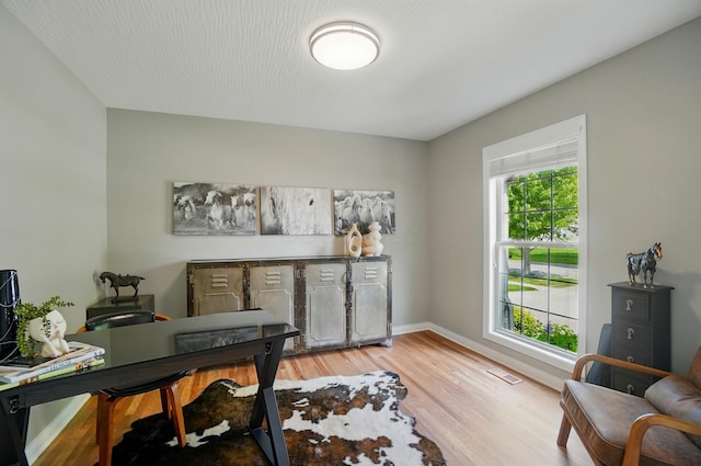 8073 Tree Lake Blvd, Powell, OH 43065 - home office with light wood finished floors and baseboards