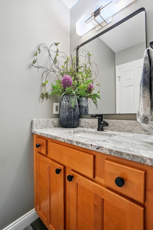 8073 Tree Lake Blvd, Powell, OH 43065 - bathroom with vanity and baseboards