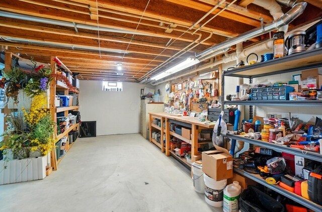 8073 Tree Lake Blvd, Powell, OH 43065 - below grade area featuring a workshop area