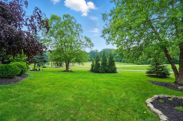 8073 Tree Lake Blvd, Powell, OH 43065 - view of green lawn