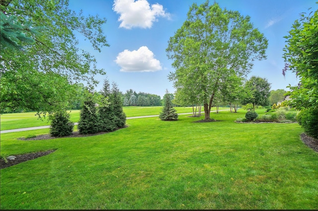 8073 Tree Lake Blvd, Powell, OH 43065 - view of green lawn