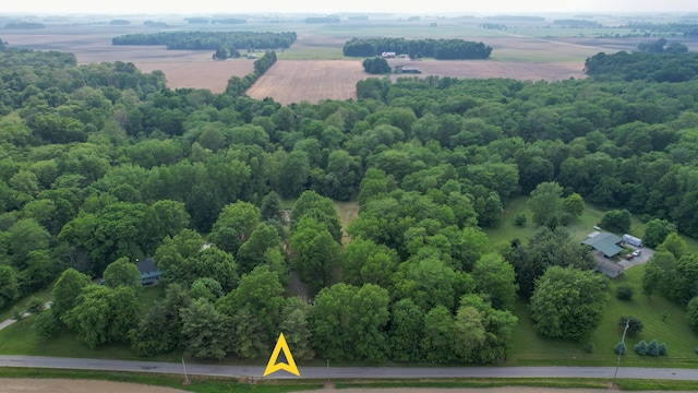 5467 Timpson Rd, Caledonia, OH 43314 - aerial view of sparsely populated area
