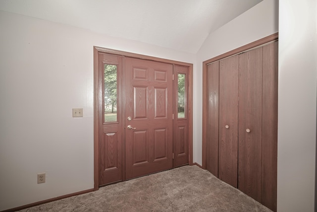 5467 Timpson Rd, Caledonia, OH 43314 - entrance foyer featuring carpet flooring, healthy amount of natural light, baseboards, and lofted ceiling