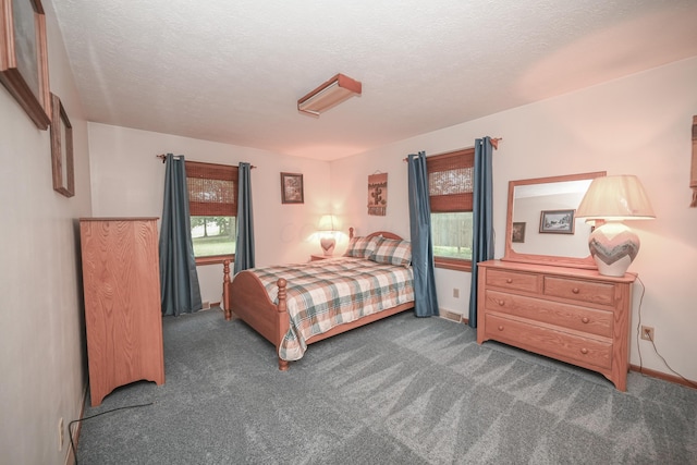 5467 Timpson Rd, Caledonia, OH 43314 - bedroom featuring multiple windows, carpet flooring, a textured ceiling, and baseboards