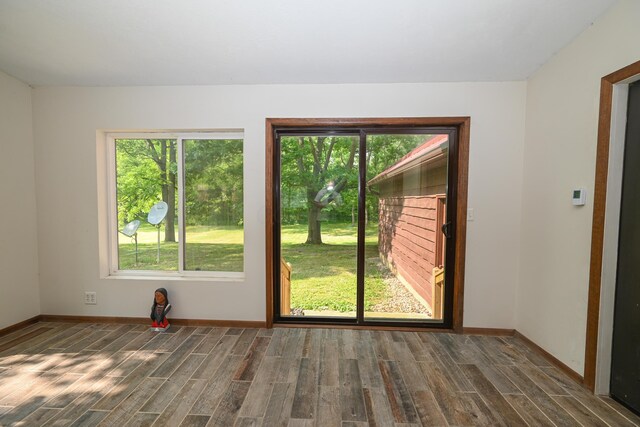 5467 Timpson Rd, Caledonia, OH 43314 - entryway featuring plenty of natural light, wood finished floors, and baseboards