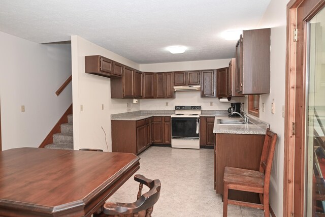5467 Timpson Rd, Caledonia, OH 43314 - kitchen with electric stove, a sink, under cabinet range hood, light countertops, and dark brown cabinets