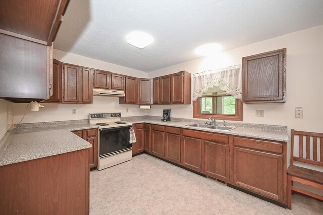 5467 Timpson Rd, Caledonia, OH 43314 - kitchen with white range with electric cooktop, a sink, under cabinet range hood, and light countertops