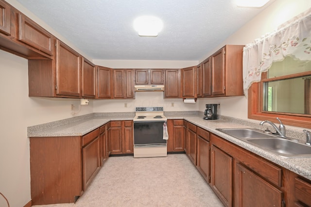 5467 Timpson Rd, Caledonia, OH 43314 - kitchen with electric stove, under cabinet range hood, a sink, brown cabinets, and light countertops