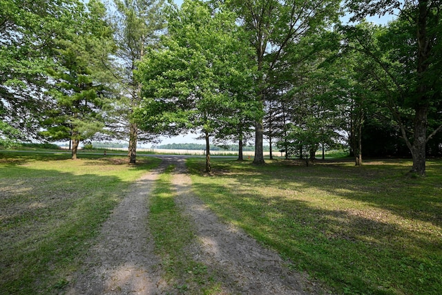 5467 Timpson Rd, Caledonia, OH 43314 - view of road