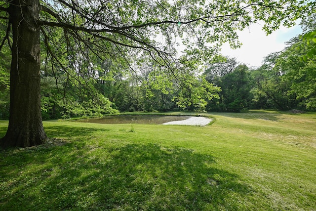 5467 Timpson Rd, Caledonia, OH 43314 - view of green lawn featuring a water view and a view of trees