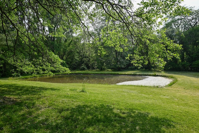 5467 Timpson Rd, Caledonia, OH 43314 - view of grassy yard featuring a water view and a forest view