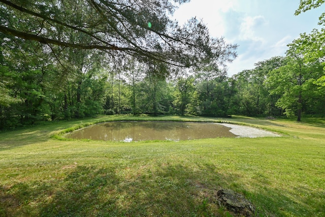 5467 Timpson Rd, Caledonia, OH 43314 - water view featuring a forest