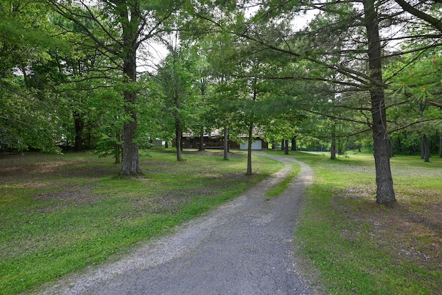 5467 Timpson Rd, Caledonia, OH 43314 - view of dirt / gravel road