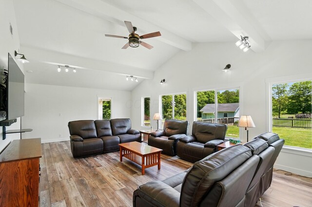 5350 Brook Rd NW, Lancaster, OH 43130 - living area featuring a ceiling fan, plenty of natural light, hardwood / wood-style floors, and track lighting